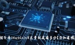 帽子币（HatCoin）总量到底有多少？你知道吗？