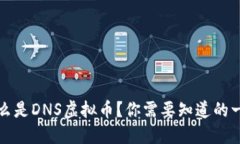什么是DNS虚拟币？你需要知道的一切
