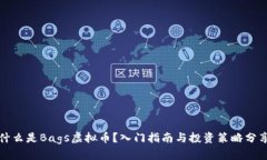 什么是Bags虚拟币？入门指南与投资策略分享