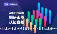 MAXX虚拟币是什么？投资MAXX需要注意些什么？