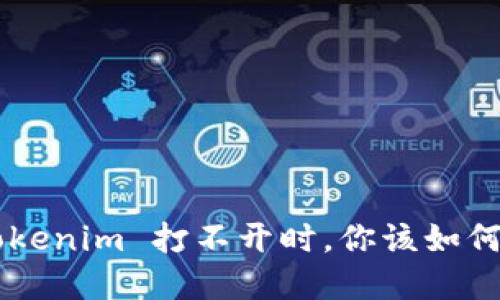 当 Tokenim 打不开时,你该如何解决?