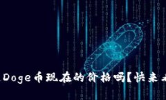 你知道Doge币现在的价格吗？快来看看吧！