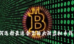 如何选择最适合你的大陆虚拟币钱包？